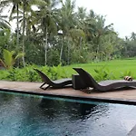 Manyi Village Ubud