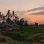 D\'Ume Bendoel Homestay