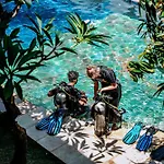 Kura Kura Divers Lodge