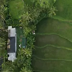 Hatiku Di Bali - Ubud