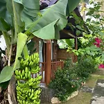 Grealeen Cottages