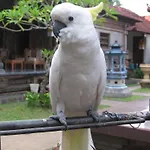 Nick\'S Homestay
