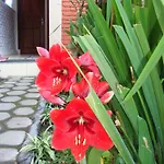 Taman Ayu Homestay Munduk Mitra Reddoorz