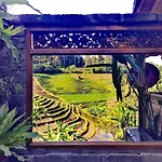 Bali Lush