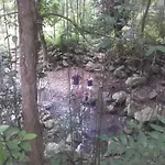 Bukit Asri Lodge