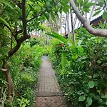 Adus Beach Inn