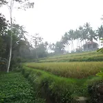 Alam Sembuwuk Ubud