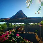 Umah Kayu 2-Menjangan Homestay
