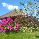 Umah Kayu 2-Menjangan Homestay