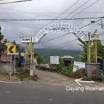 Umah De Madya & Rooftop De Madya