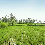 Yamuna Guest House