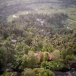 Cemara Green Hill By Samhita Bali