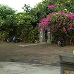 Bali Gecko Homestay