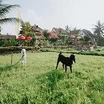 The Rice Joglo Eco-Stay