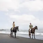 Swan Paradise A Pramana Experience