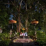 Swan Paradise A Pramana Experience