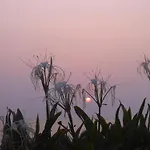 Bali Luxe Villa Beachfront Rooftop Sunsets