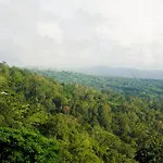 The Kayuan