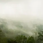 The Kayuan
