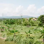 Three Palms Surf & Stay Medewi