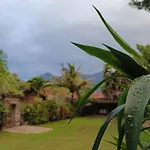 Bali Gecko Homestay