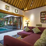 Villa Green Mango