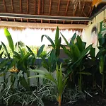 Bb Homestay Two