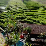 Matra Bali Surf Camp