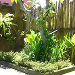 Taxa Inn Kuta Raya