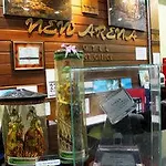 New Arena Beach Resort
