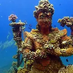 Biorock Homestay & Dive Center Pemuteran