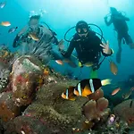 Bali Dive Resort Amed