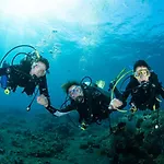 Bali Dive Resort Amed