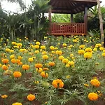 Yulia Village Inn Ubud
