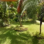 Villa Elina