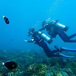 Bluehill Dive Resort Tulamben