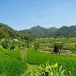 Green Vanilla Bungalow