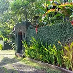 Balian Surf Villas