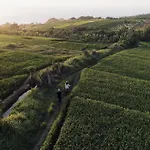 Wakagangga