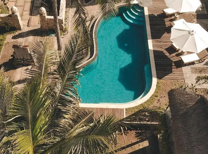 Tentacle Bali
