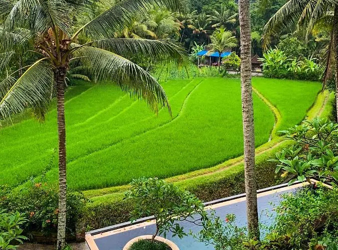 Umasari Rice Terrace Villa By Agata