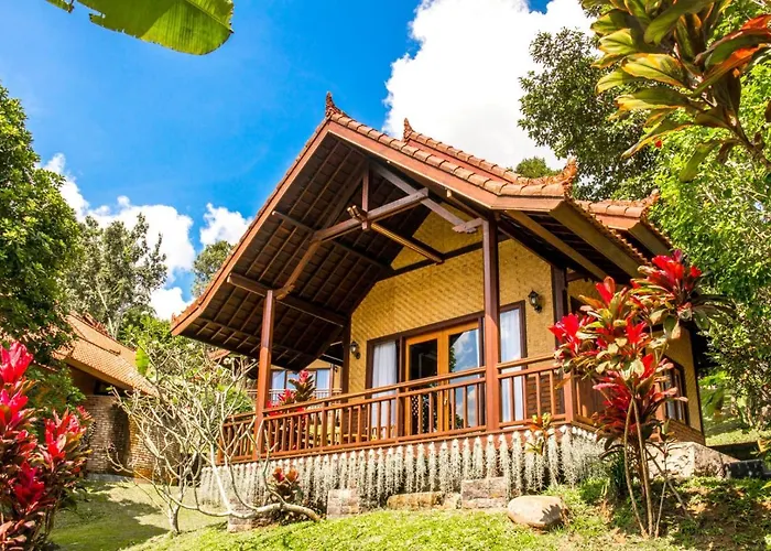 Bali Palms