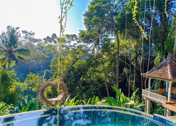 Made Punia\'S Jungle