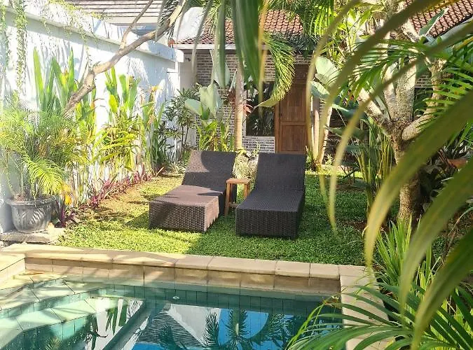 The Jungle House