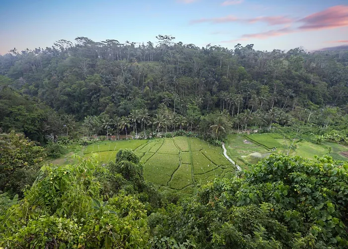 Black Penny Villas Ubud
