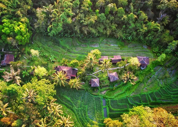 Oemah Tepi Sawah