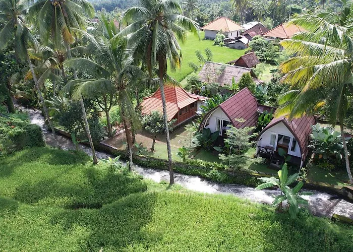 Damuh Pertivi, River And Rice Fields View