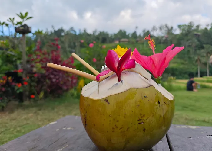 Ananda Homestay Lemukih