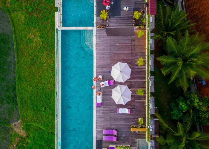 The Evitel Resort Ubud