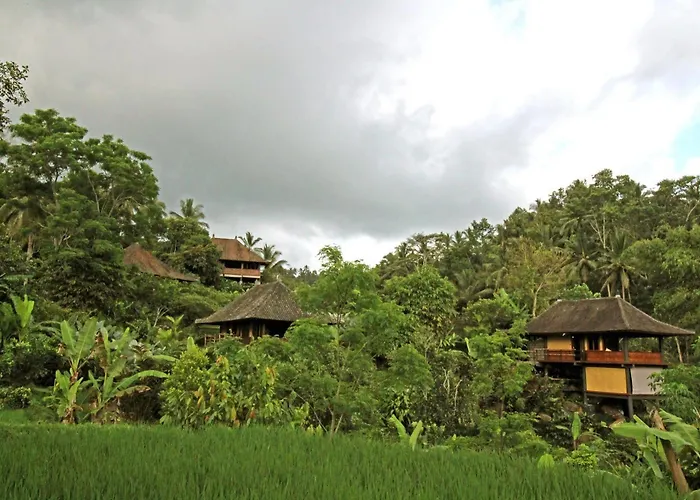 Bali Eco Stay